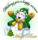 Wishing you a happy winter-Ania
