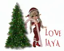 Love Jaya
