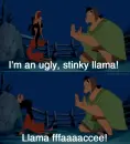 Lama face