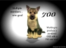 Foopets