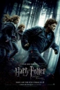 Harry Potter Deathly Hollows