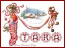 Tara christmas stocking