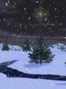 night snow