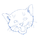 gatto