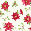 Poinsettia
