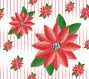 poinsettia
