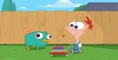 Phineas and Perry