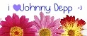 johhny depp