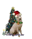 Christmas Dog ~ Woof