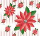 little poinsettia