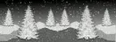 Winterland