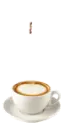 I love coffee