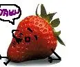frAGOLA