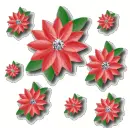 poinsettia