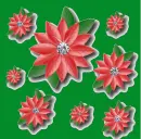 Flowers poinsettia