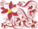 poinsetia