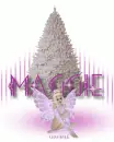Maggie