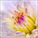 Flower Avatar
