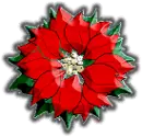 poinsettia avatar