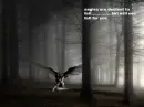 fallen angle