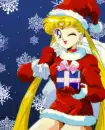 Sailor Moon Christmas