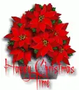 Red Poinsettia