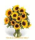 Sunflowers ~ have a beautiful day