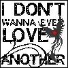 I Don't Wanna Ever Love Another