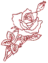 rosa
