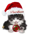 Parihan