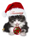 Tammy