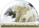 Ice Bears