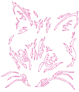 gatto
