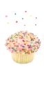 cup cake