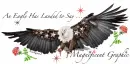 Eagle ~ Magnificent Graphic