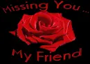 Missing You ...