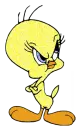 Tweety Glitter