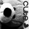 Bearrrr Cute