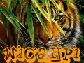 Tiger ~ Wicahpi