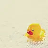 rubber duckie