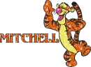 Mitchell Tigger
