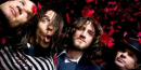 rhcp back of cd