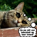 Emo Cat