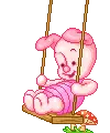 baby piglet