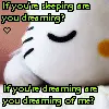 dream or sleep?