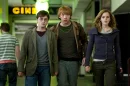 Harry, Ron and Hermione