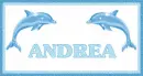Andrea with Dolphins