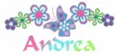 Andrea Flowers & Butterfly