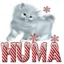 HUMA