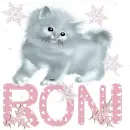RONI